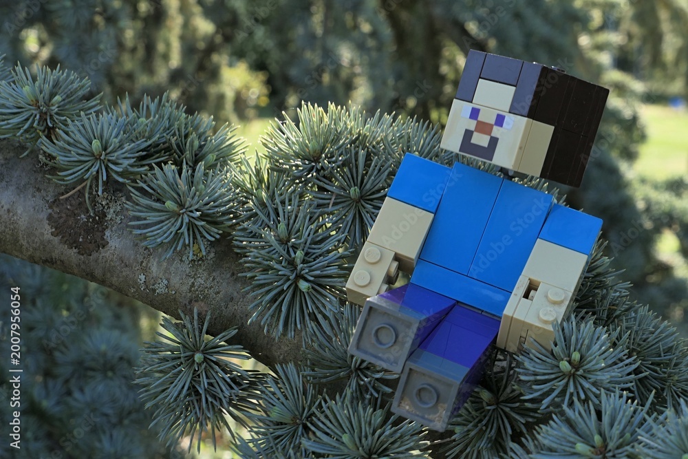 Naklejka premium Minecraft action figure of smiling main character Steve in blue shirt sitting on spring branch of coniferous tree Atlas Cedar, latin name Cedrus Atlantica, hidden in shadow of higher branches. 