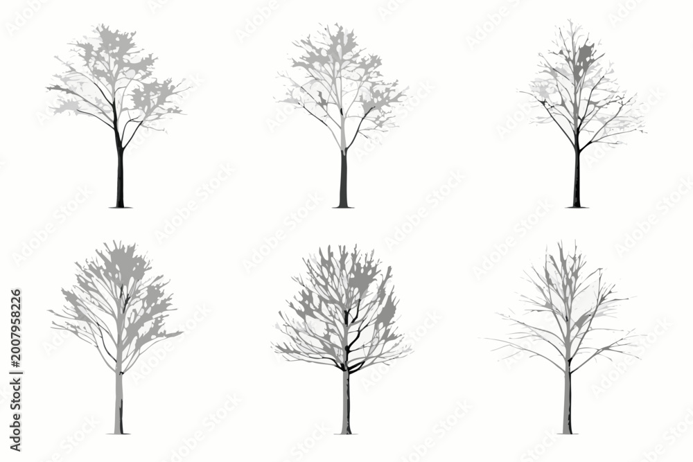 Fototapeta premium tree silhouettes collection vector illustration on white background