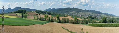 Fotografia photo panoramique d'un paysage agricole au printemps