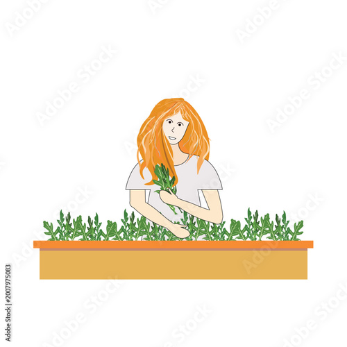 Girl picking arugula from a box. Red-haired woman with arugula leaves in her hand. Home gardening stock vector illustration flat design for web, for print