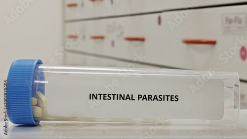 Bild auf Leinwand INTESTINAL PARASITES treatment tablets used to eradicate parasitic worms from di