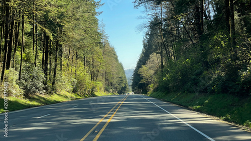 Highway 101 through the lush green forest of Oregon