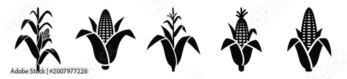 Photos Big set of corn stalk silhouettes black icon and character