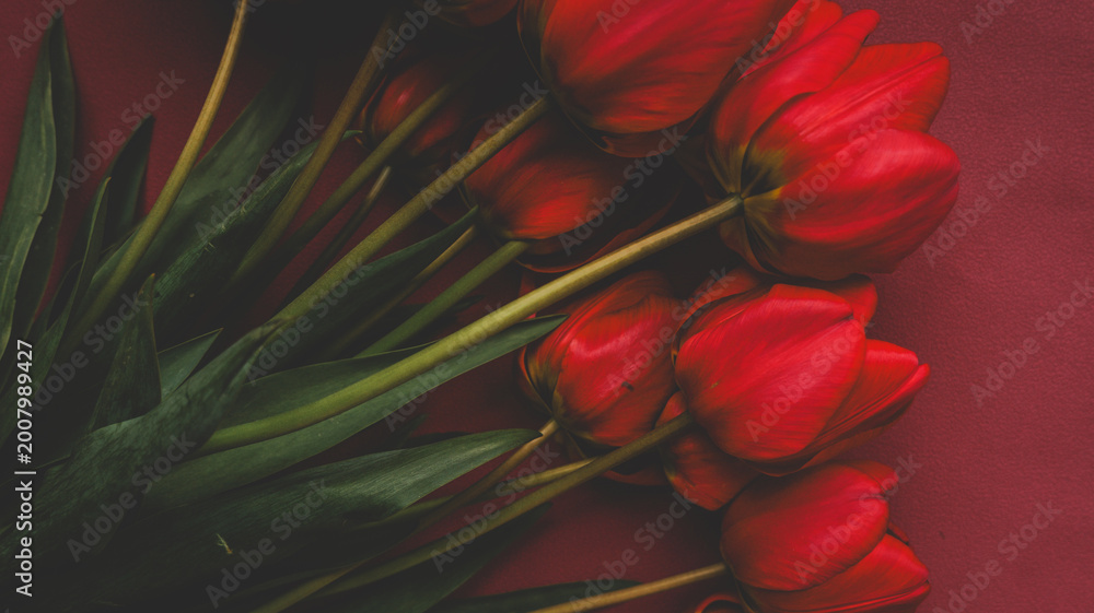 Obraz premium Vibrant red tulips arranged artistically on a deep red background