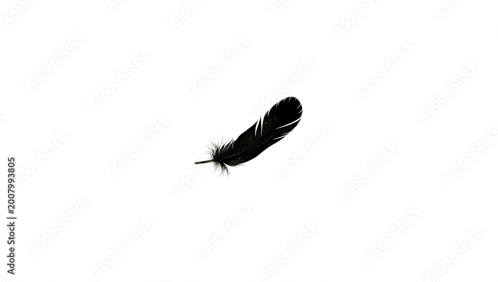 Obraz premium A single black feather floats in mid-air, perhaps dropped from above