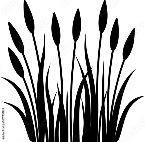 Swamp grass and bulrush black silhouette collection isolated on transparent background vector illustration for lake scenery.
