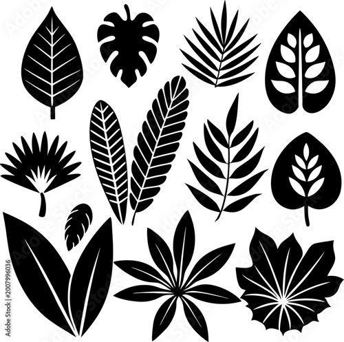 Tropical leaf silhouette set featuring various exotic botanical shapes for jungle foliage design projects and summer art.