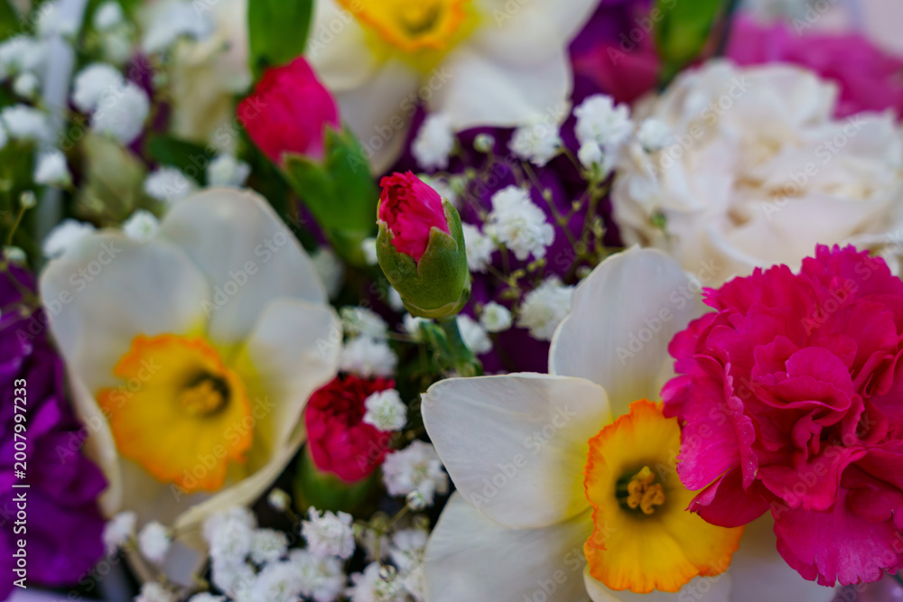Obraz premium Bright flowers on display in a garden setting during spring season