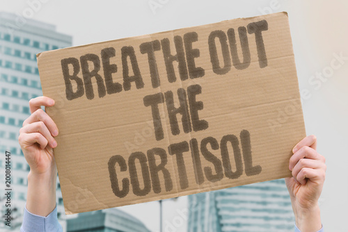 Tableau sur toile "Breathe Out The Cortisol" Deliberate slow breathing directly reduces circulating stress hormone levels in the body