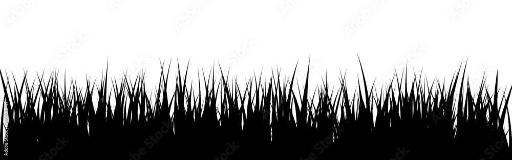 Fototapeta premium Meadow silhouette with grass, plants on plain. Panoramic summer lawn landscape with herbs, various weeds. Herbal border, frame element. Black horizontal banners. Vector illustration