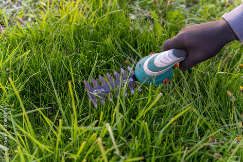 Принти на полотні Gloved hand cutting tall grass with cordless garden shears, close-up of lawn trimming and yard maintenance outdoors in daylight