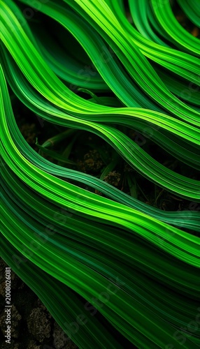 Wavy green lines sweep across a natural background, evoking a sense of organic elegance, organic, textures