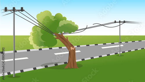 Photos Fallen tree leaning onto power lines beside a road, illustrating electrical haza