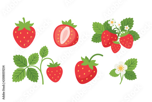 Fresh Strawberry Fruit and Blossom Set, Summer Red Berry Vector Illustration
