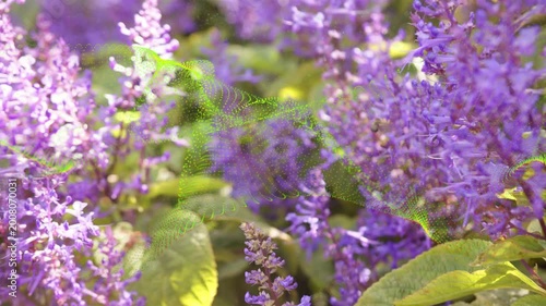 Faint green dots appearing, ribbon weaving across purple spikes revealing texture and depth