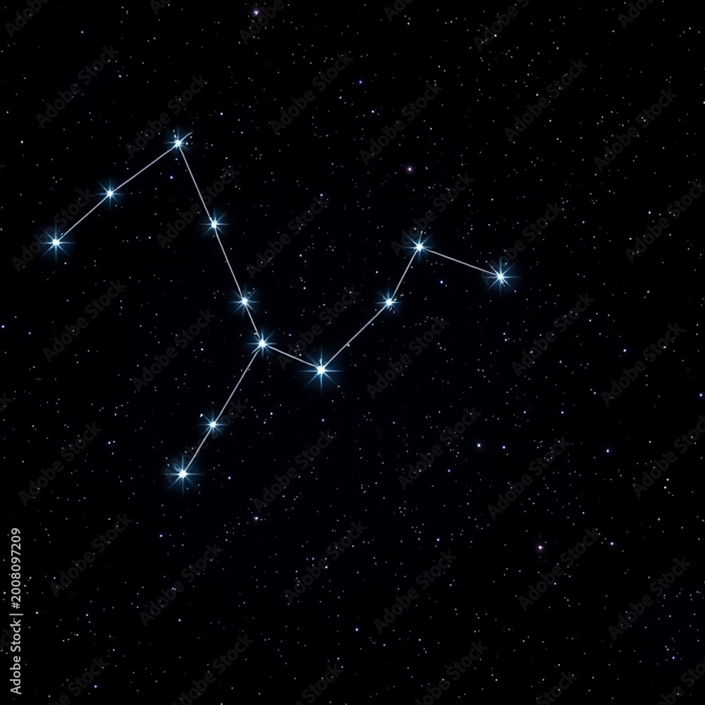 Fototapeta premium constellation of the star