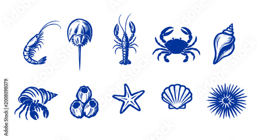 Blue Ocean Fauna Hand Drawn Icon Vector Isolated