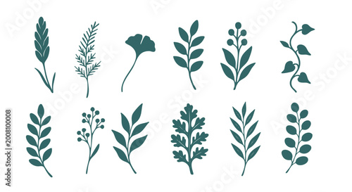 Huge Summer Botanical Hand-drawn Silhouette Vector Collection