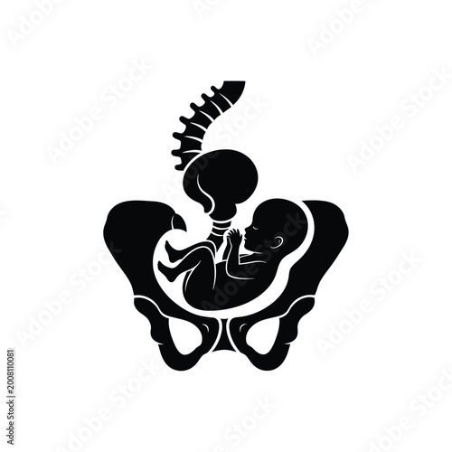 Foto Human Fetus in Womb Illustration.