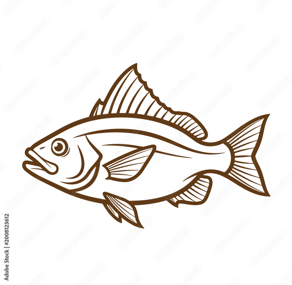 Fototapeta premium Brown fish illustration with fins and tail on white background