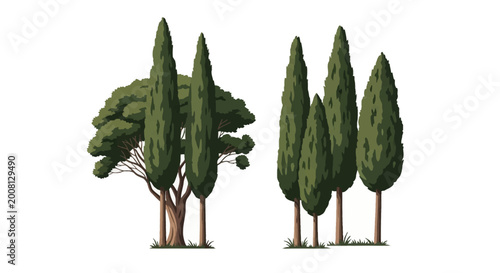 Flat vector illustration of several tall slender Mediterranean cypress trees and one broad-canopy deciduous style tree isolated on a white background for landscape design elements.