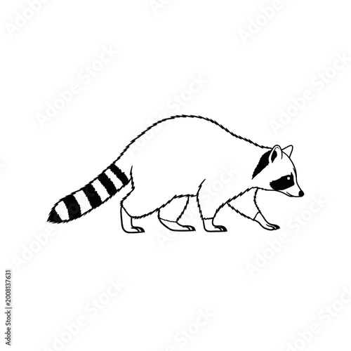 Simple Black and White Line Art Illustration of a Raccoon Walking.