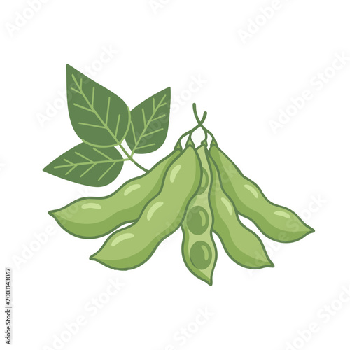 Green Soybean Pods, Fresh Vegetable, Healthy Food, Plant-Based Diet