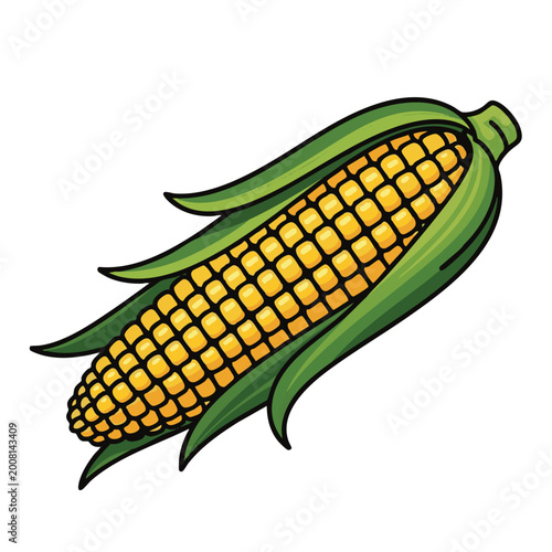 Photos Vector corn on the cob, yellow maize, green husk, food illustration, agriculture