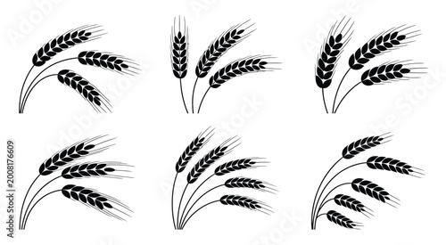 Fotografija Wheat and rice illustration, black and white stalks arranged on white background