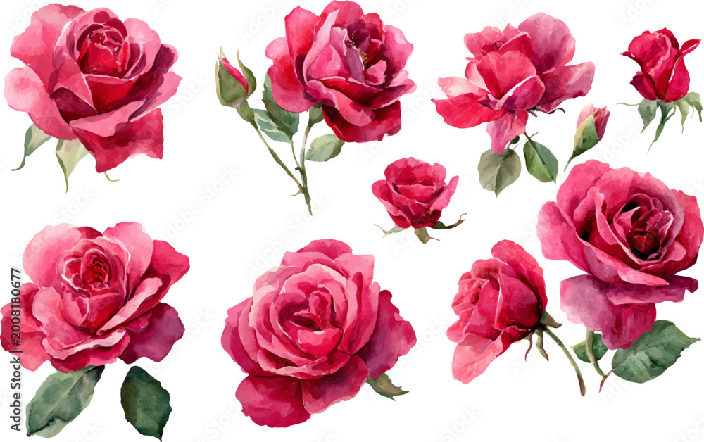 Naklejka premium bouquet of pink roses