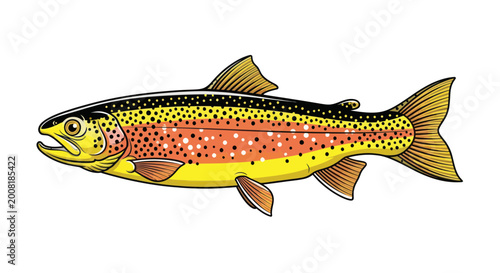Fotografie Vibrant Trout Fish Illustration Isolated on White Background