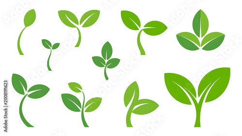 Green plant sprouts collection with different leaf stages and stem growth on transparent background set.