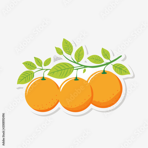 Three Oranges on a Branch with Green Leaves