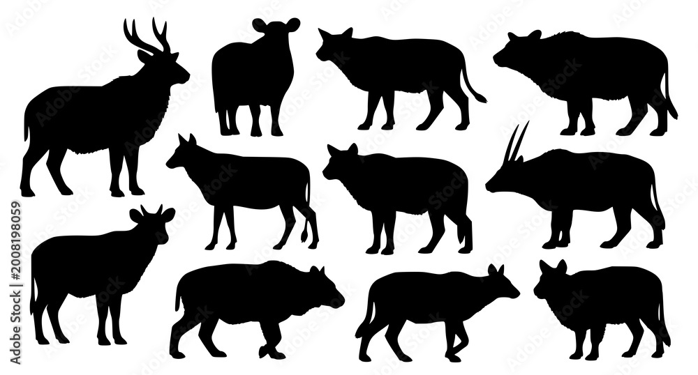 Fototapeta premium Collection of silhouette images featuring various types of wild ungulates