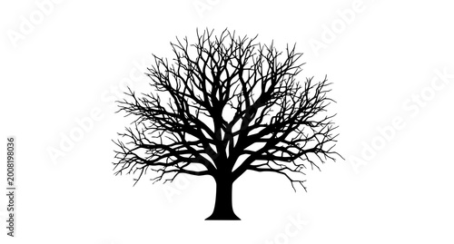 Картината върху платно Bare tree silhouette a winter scene of nature's dormancy and stark beauty