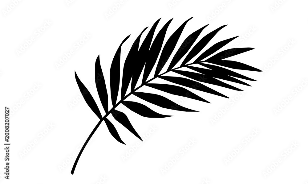 Fototapeta premium Artistic palm leaf silhouette design