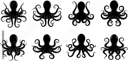 Fotografie Set, of, eight, black, octopus, silhouettes, with, curled, tentacles, marine, animal, icons, for, nautical, designs, ocean, wildlife, vector, illustration, elements