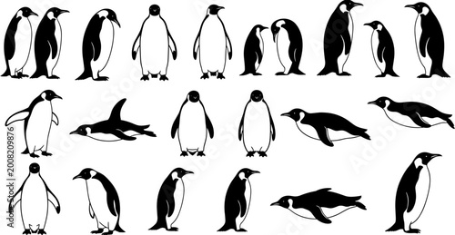 Bild auf Leinwand Large collection of black and white penguin silhouettes in various standing and sliding poses, isolated on a clean white background