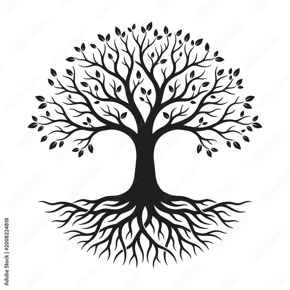 Obraz premium Tree with roots and leaves isolated on white background symbolizing growth and harmony
