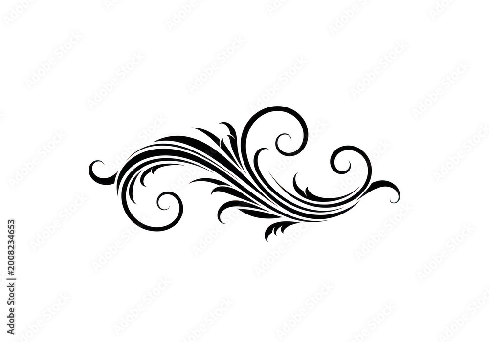 Fototapeta premium Elegant black decorative scroll swirl design