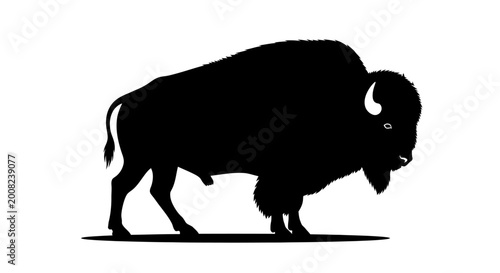 Fotografie Bison silhouette profile view animal.