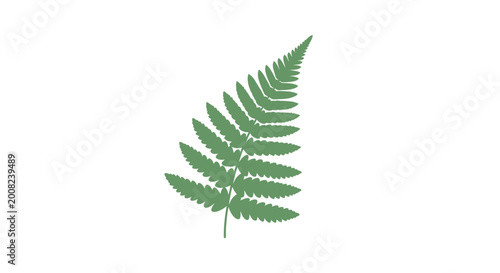 Tableau sur toile Green Fern Leaf Close Up Detail.