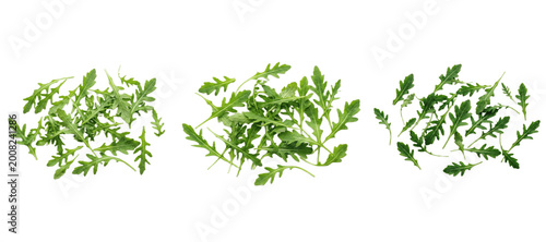 Slika na platnu Loose arugula leaves spread in three scattered piles on white background, highli