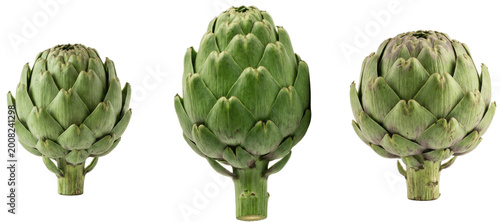 Foto Three globe artichokes standing upright on white background, displaying layered