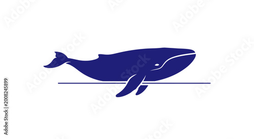 Photos Dark blue whale swimming in water.
