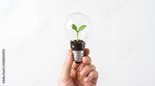 Human hand holding light bulb with small green plant inside on white background