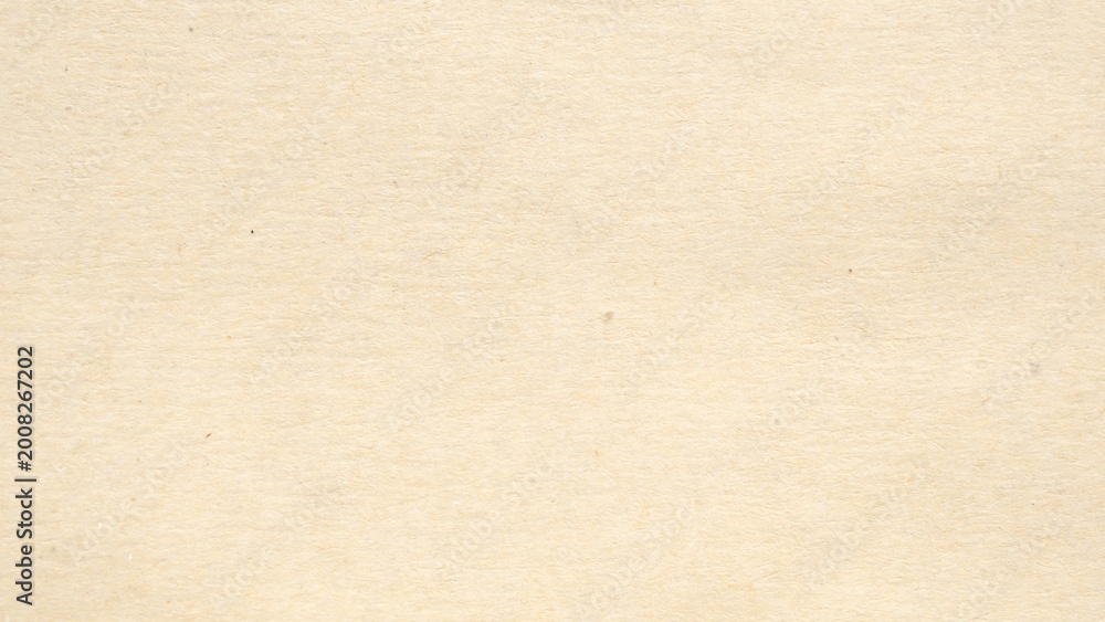Fototapeta premium light brown recycled craft paper texture background