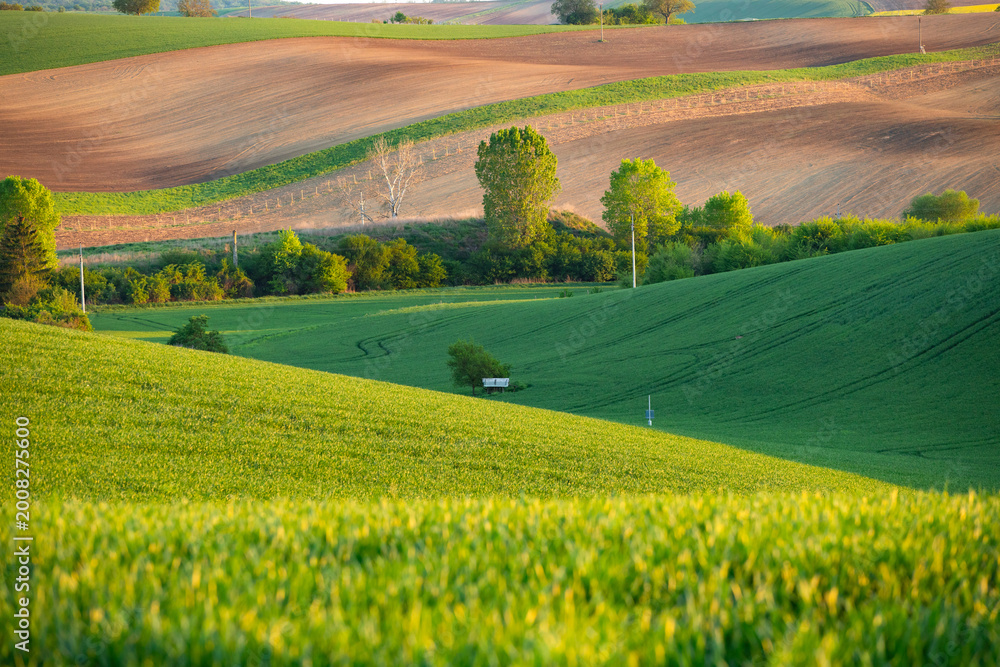 Fototapeta premium Gorgeous rural landscape with green sunny spring hills. South Moravia region, Czech Republic