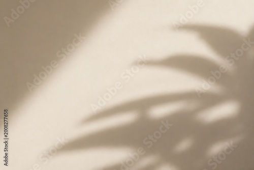Soft, diffused sunlight casts a gentle shadow of palm leaves onto a neutral-toned wall, creating a serene and minimalist aesthetic.