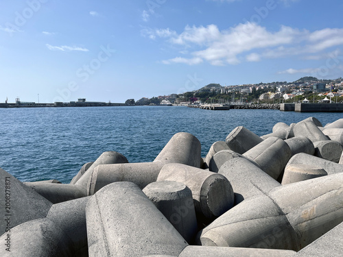 Фотография Coastal Protection Tetrapods Along the Coastline of Funchal (Madeira Portugal)